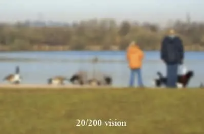 A simulaiton of a person with 20/200 Vision
						looking at a woman and child overlooking a lake, with geese nearby